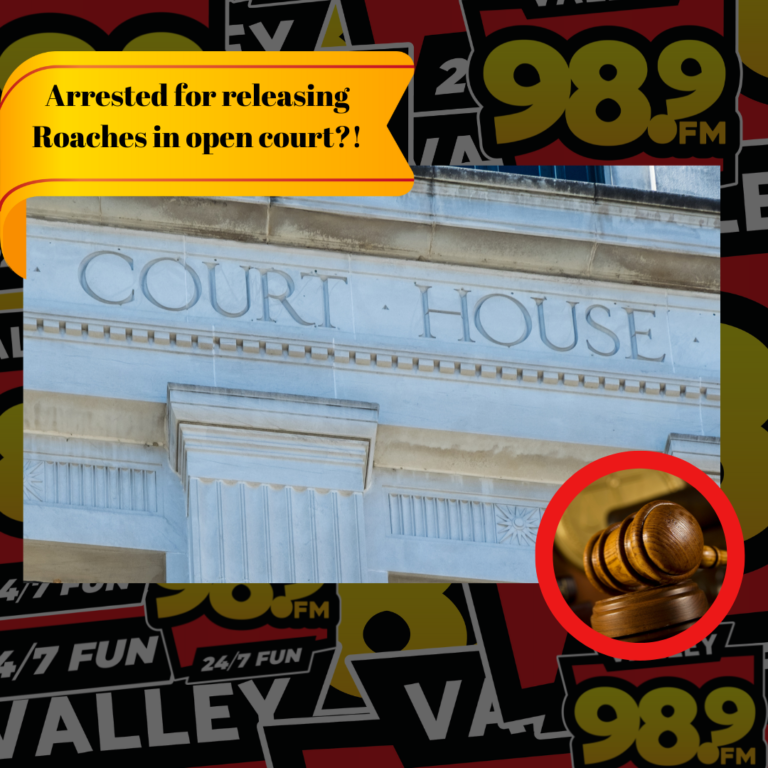 Read more about the article Arrested for releasing Roaches in open court?!