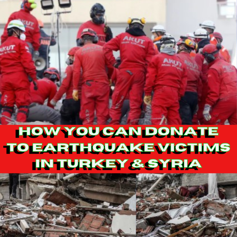Read more about the article How You Can Donate To Earthquake Victims in Turkey & Syria